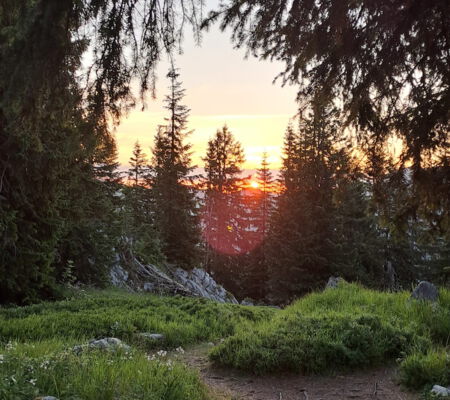 Sonnenaufgang_am_Stolzenberg