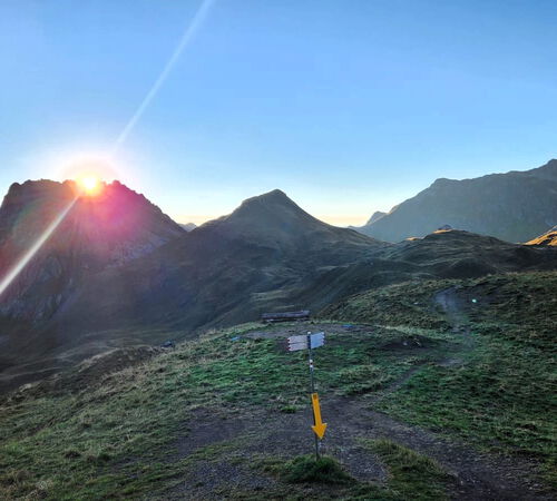 Guten Morgen
