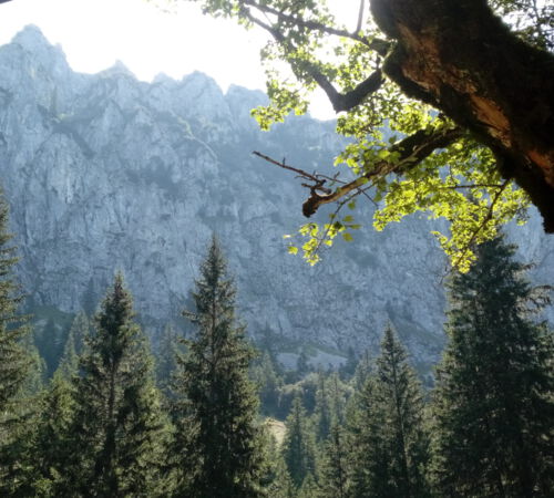 Rast an der Wildsulzhütte