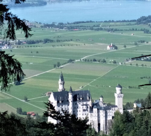 Blick auf Neuschwangau