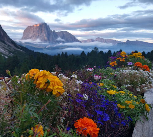 Morgenstimmung am Langkofel