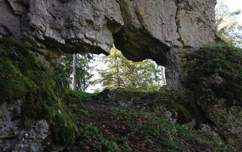 Holzberg_Riesentor