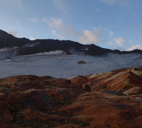 Der Hohenferner und links Cima Marmotta 3340m