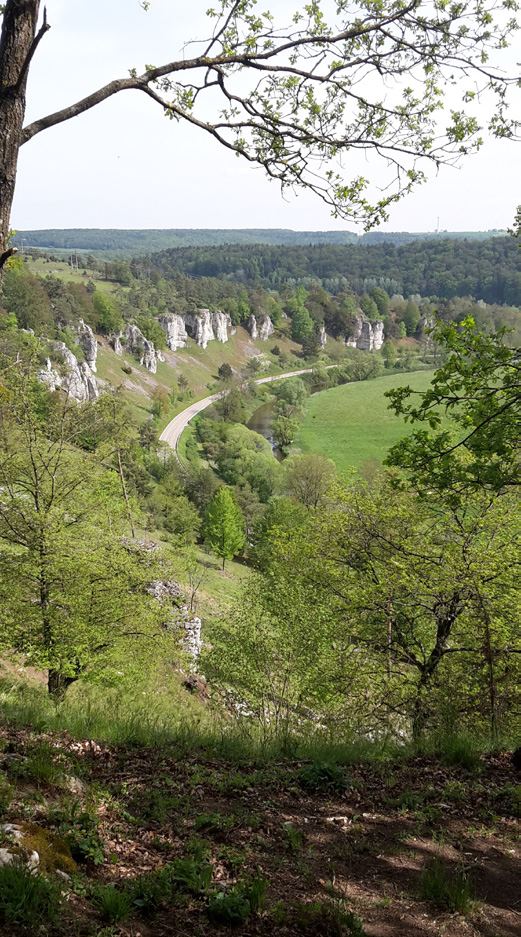 Blick auf die 12 Apostel